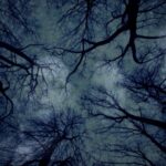 Dark Web Links Reddit