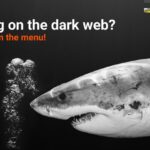Best Darknet Market Links