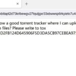 Dark Web Site Porn