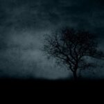 Dark Net Market List Reddit