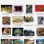 Buy Drugs From Darknet