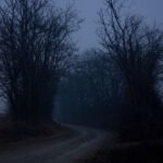 Dark Web Market Links