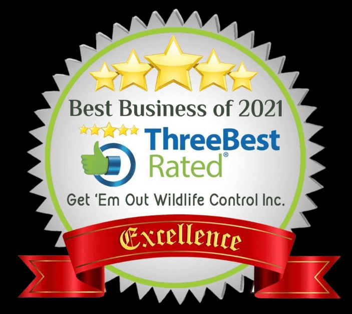 best darknet market 2024