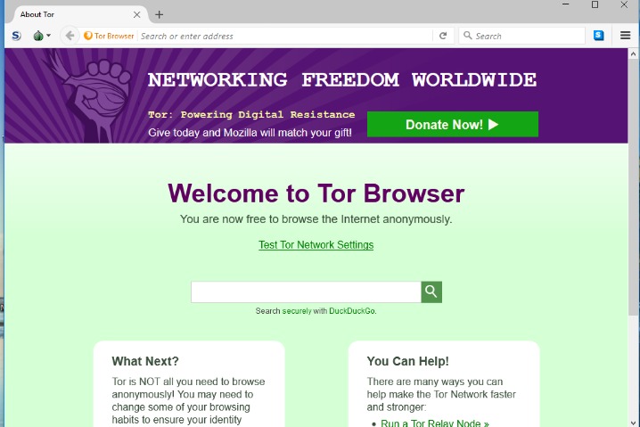 accessing dark web