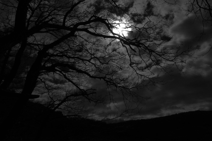 dark chart
