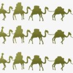 Dark Web Silk Road