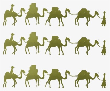 Dark Web Silk Road
