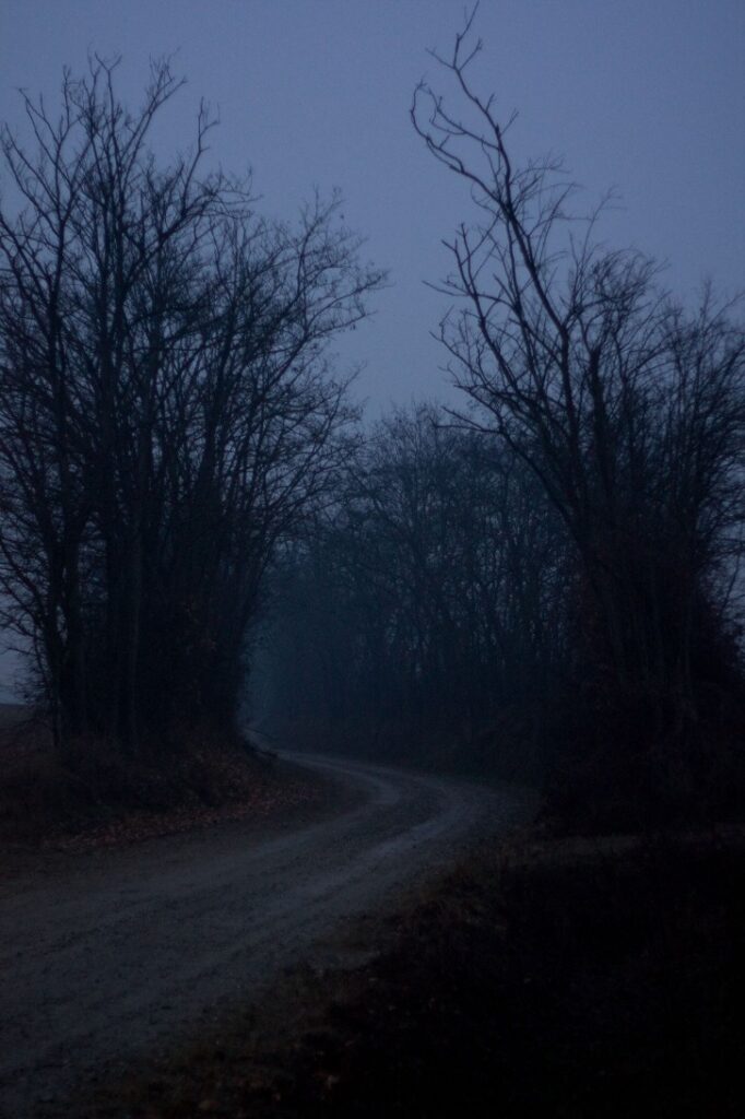 Dark Markets Czech Republic