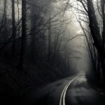 Dark Web Links 2025 Reddit