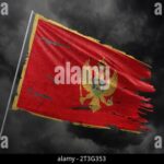 Dark Markets Montenegro