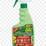 Asap Market Url